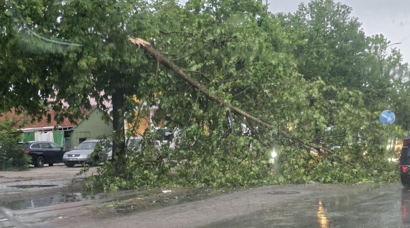 Nevrijeme oborilo drvo na Bulevaru Vuka Mićunovića Nevrijeme oborilo drvo na Bulevaru Vuka Mićunovića