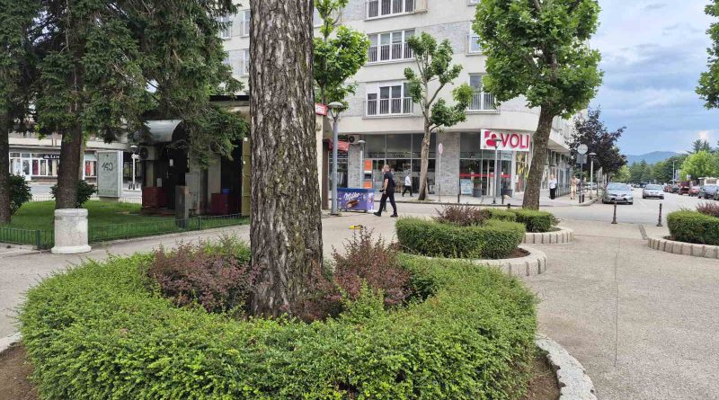 Nikšićki park preko puta Opštine dobio novo ruho Nikšićki park preko puta Opštine dobio novo ruho