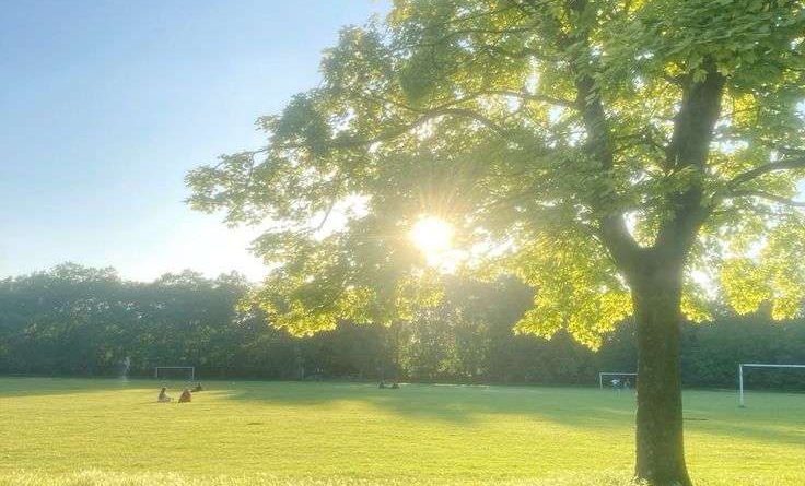Meteo Nikšić: Sunčano