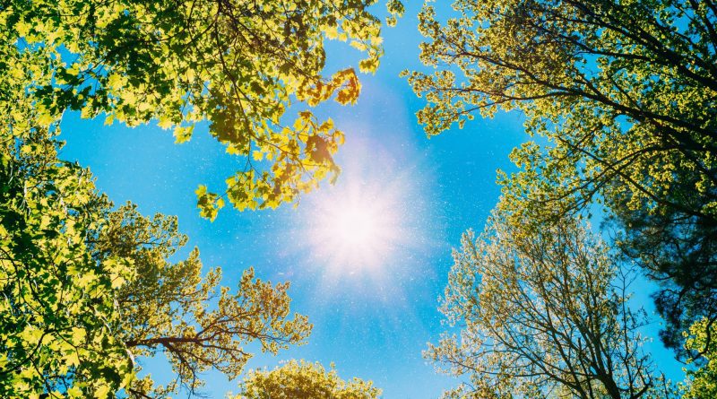 Meteo Nikšić: Sunčano